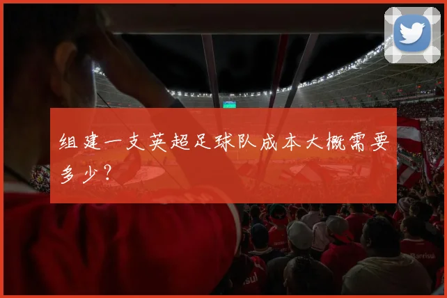 组建一支英超足球队成本大概需要多少？